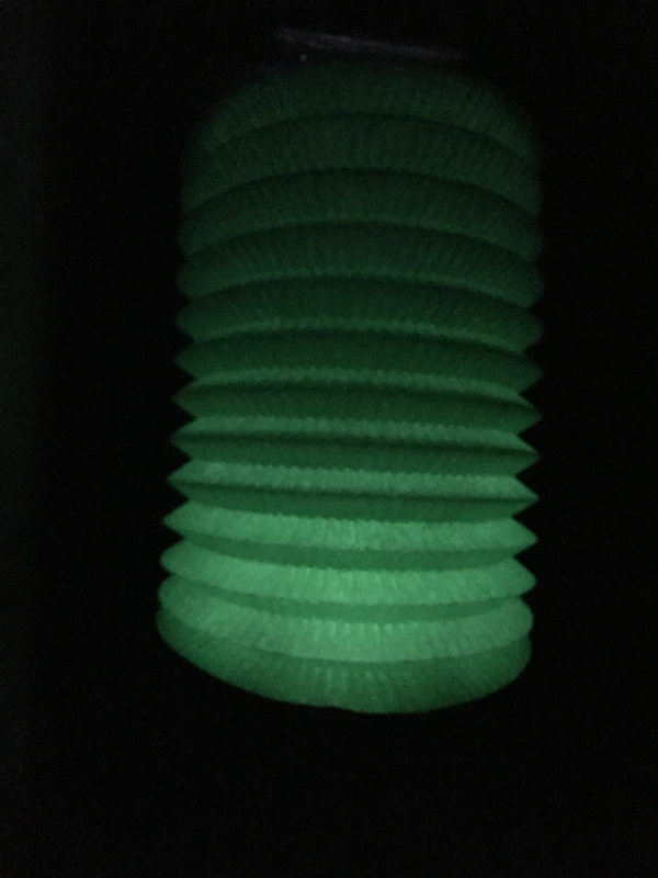 Lampion zelený 28 cm ,1ks